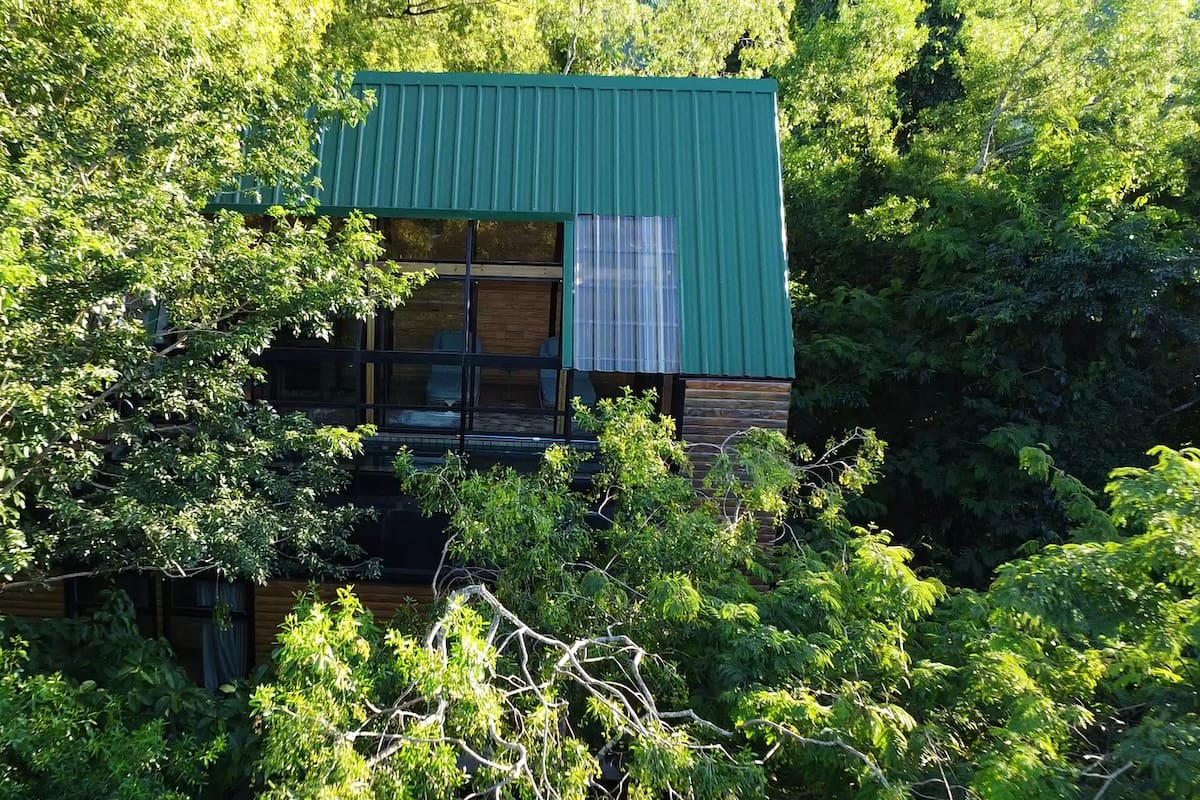 Las construcciones están entre árboles y plantas nativas en Puerto Iguazú