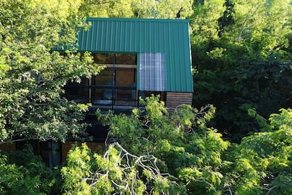 Las construcciones están entre árboles y plantas nativas en Puerto Iguazú