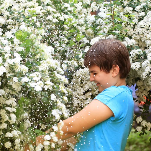 Las coronas de novia se convierten en una de las escenas más llamativas de la primavera