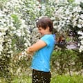 La planta que se viste de blanco y anuncia la llegada de la primavera