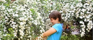 La planta que se viste de blanco y anuncia la llegada de la primavera
