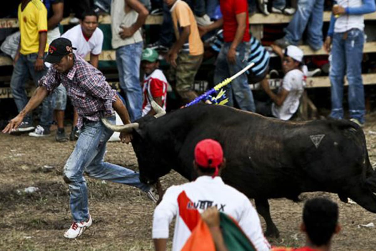 Las corridas de toros, parte de la tradición colombiana, están también en el ojo del huracán