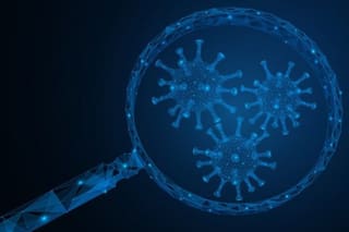 Coronavirus: cómo sería el mundo si desaparecieran los virus