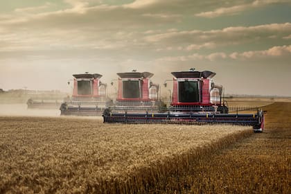 Las cosechadoras incorporan, cada vez más, el uso de componentes electrónicos para advertir sobre los procesos de los equipos