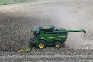 Aceleran la cosecha de maíz antes de que vuelvan las lluvias