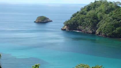 Las costas de la Isla Coco, en Costa Rica, donde murió una turista tras ser atacada por un tiburón