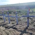 Un productor agropecuario fue condenado a cinco años de prisión por un choque en el que murió toda una familia