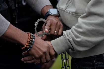 Se estima que aproximadamente el 20% de los inmigrantes ilegales detenidos por ICE en 2023 tenían antecedentes penales, muchos por delitos de robo