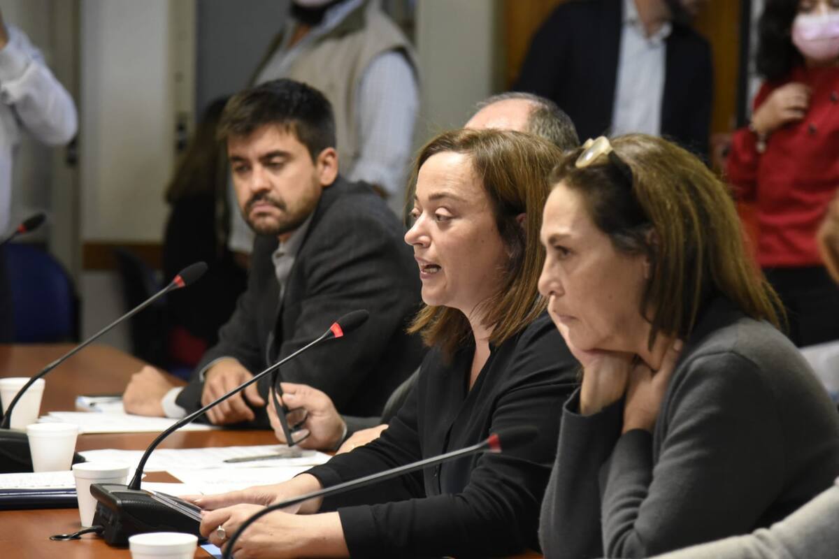 Las diputadas Cecilia Moreau y Karina Banfi hoy en la comisión de Legislación General