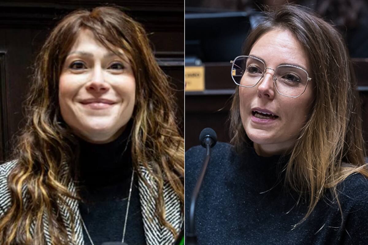 Las diputadas de La Cámpora Soledad Alonso y Maite Alvado fueron las impulsoras del proyecto de ley provincial