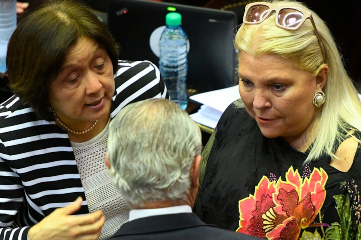 Las diputadas Elisa Carrió y Alicia Terada, durante el debate en la cámara baja para intentar convertir en ley la reforma al Código Penal que impone mayores penas a la corrupción empresaria y la suspensión de los desalojos -por cuatro años- de las tierras que ocupan las comunidades indígenas