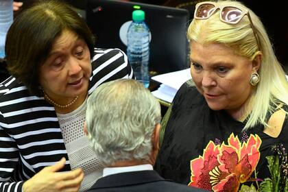 Las diputadas Elisa Carrió y Alicia Terada, durante el debate en la cámara baja para intentar convertir en ley la reforma al Código Penal que impone mayores penas a la corrupción empresaria y la suspensión de los desalojos -por cuatro años- de las tierras que ocupan las comunidades indígenas
