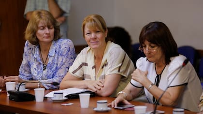 Las diputadas Margarita Stolbizer y Virginia Linares, ayer, en el Congreso