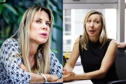 Las diputadas Myriam Bregman y Karen Reichardt protagonizaron un duro intercambio de mensajes tras el debate en el Congreso Nacional