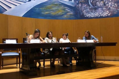Las disputadas nacionales Silvia Lospennato, Paula Oliveto, Graciela Ocaña y Marcela Campagnoli impulsan el ingreso al Congreso de un proyecto de ley similiar