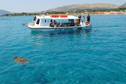 Las distintas playas de Zante ofrecen la posibilidad de observar tortugas mediante paseos en barco
