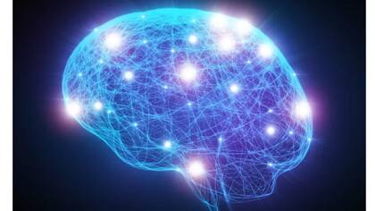 Las distorsiones que generan este tipo de imágenes tienen un impacto en el cerebro
