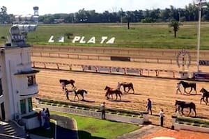 Grave conflicto en La Plata: otra fecha anulada, el anuncio de una marcha a la gobernación y caballos sin jockeys