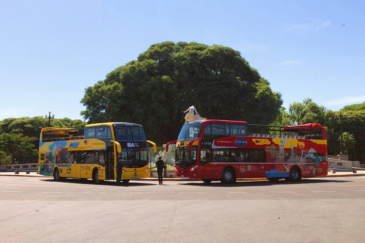 Las dos líneas que ofrecen el servicio