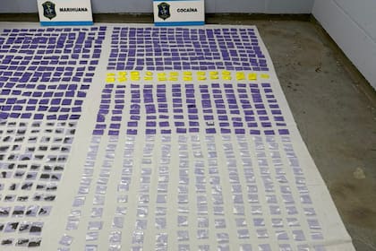 Las dosis de estupefacientes secuestradas por la policía bonaerense
