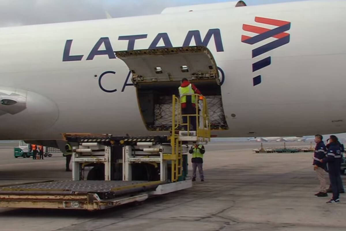 Las dosis llegaron en un vuelo de Latam, cerca de las 10