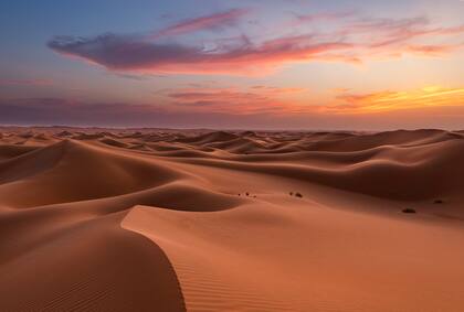 Las dunas del desierto de Liwa en Abu Dhabi EAU