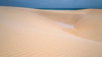 Las dunas ya han alcanzado entre 30 a 90 cm.