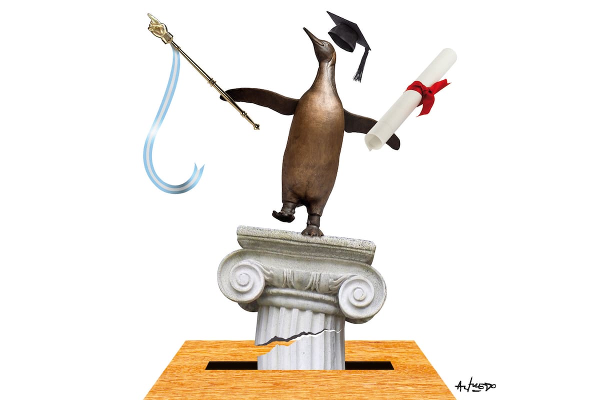 Las elecciones en las universidades.