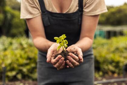 Las emisiones de títulos que cumplen con criterios de sustentabilidad ganan terreno en todos los países, incluyendo la Argentina