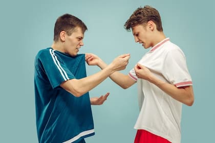 Las emociones están íntimamente relacionadas con el temperamento