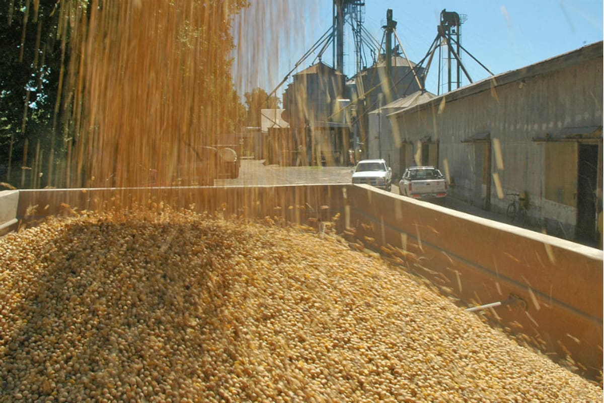 Las empresas autorizadas a emitir certificados de depósitos y warrants al agro deberán informar nuevos datos sobre dichos instrumentos financieros