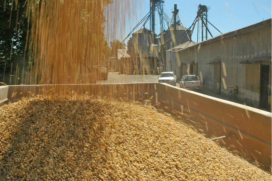 impulso al agro
