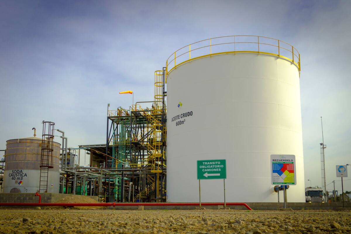 Las empresas de biodiésel alertan que venían produciendo a pérdida