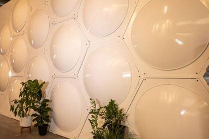 Las empresas estadounidenses de compostaje como Recompose, en Seattle, dicen que el proceso es una opción ecológica después de la muerte.