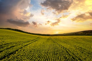 Un informe advierte que las empresas agropecuarias observan condiciones más difíciles para financiarse