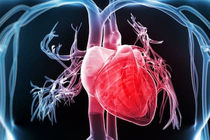 Las enfermedades coronarias, la principal causa de los ataques al corazón, están generadas normalmente por la obstrucción de las arterias debido al colesterol.