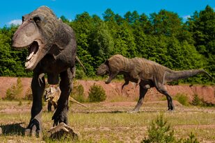 Las enfermedades que tenían los dinosaurios no distan tanto de la de los humanos, según una investigación