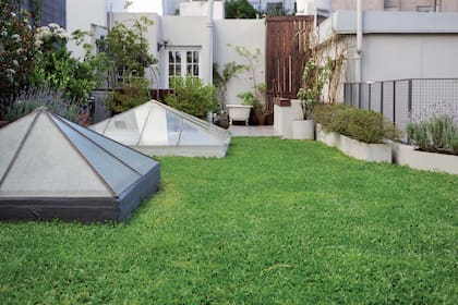 Las enormes claraboyas, a las que les cambiaron los vidrios originales por unos transparentes, hoy bañan con luz la cocina-comedor y permiten ver desde allí las plantas de la terraza.