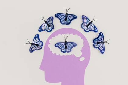 Las ensoñaciones son una respuesta típica del cerebro que tendría como fin la acción de resguardar los recuerdos en el hipocampo
