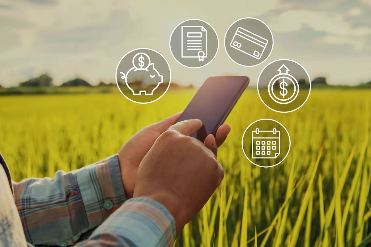 Las entidades bancarias del país coincidieron que en el 2020 los créditos para el agro crecieron con respecto al año anterior