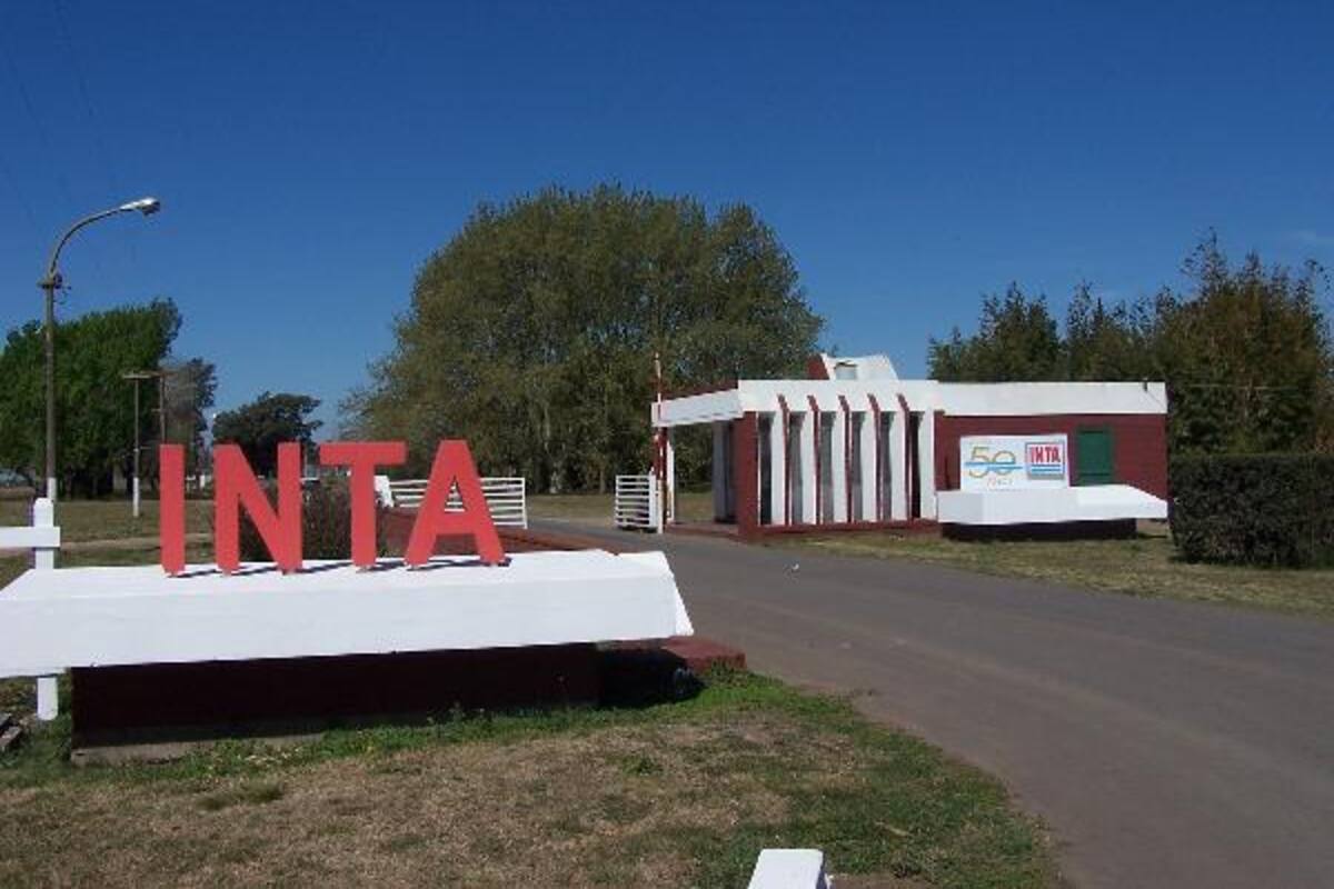 Las entidades del sector deben contribuir a mejorar el desempeño de organizaciones públicas, como el INTA