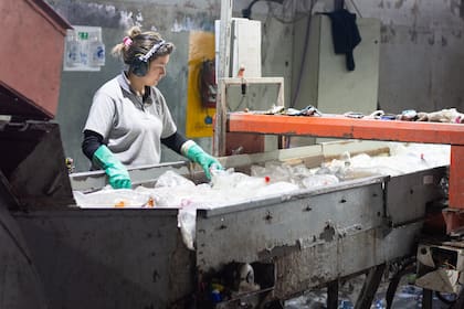 Las escamas son utilizadas para la fabricación de nuevas botellas, textiles, bandejas para comida, resinas, pinturas, zunchos y cerdas para cepillos o escobillones, entre otros productos