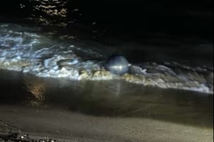 Las esferas aparecieron a lo largo de la playa del norte de australia y no representan un peligro para los pobladores
