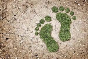 Las especialistas alertaron sobre la huella de carbono que estamos dejando en el día a día