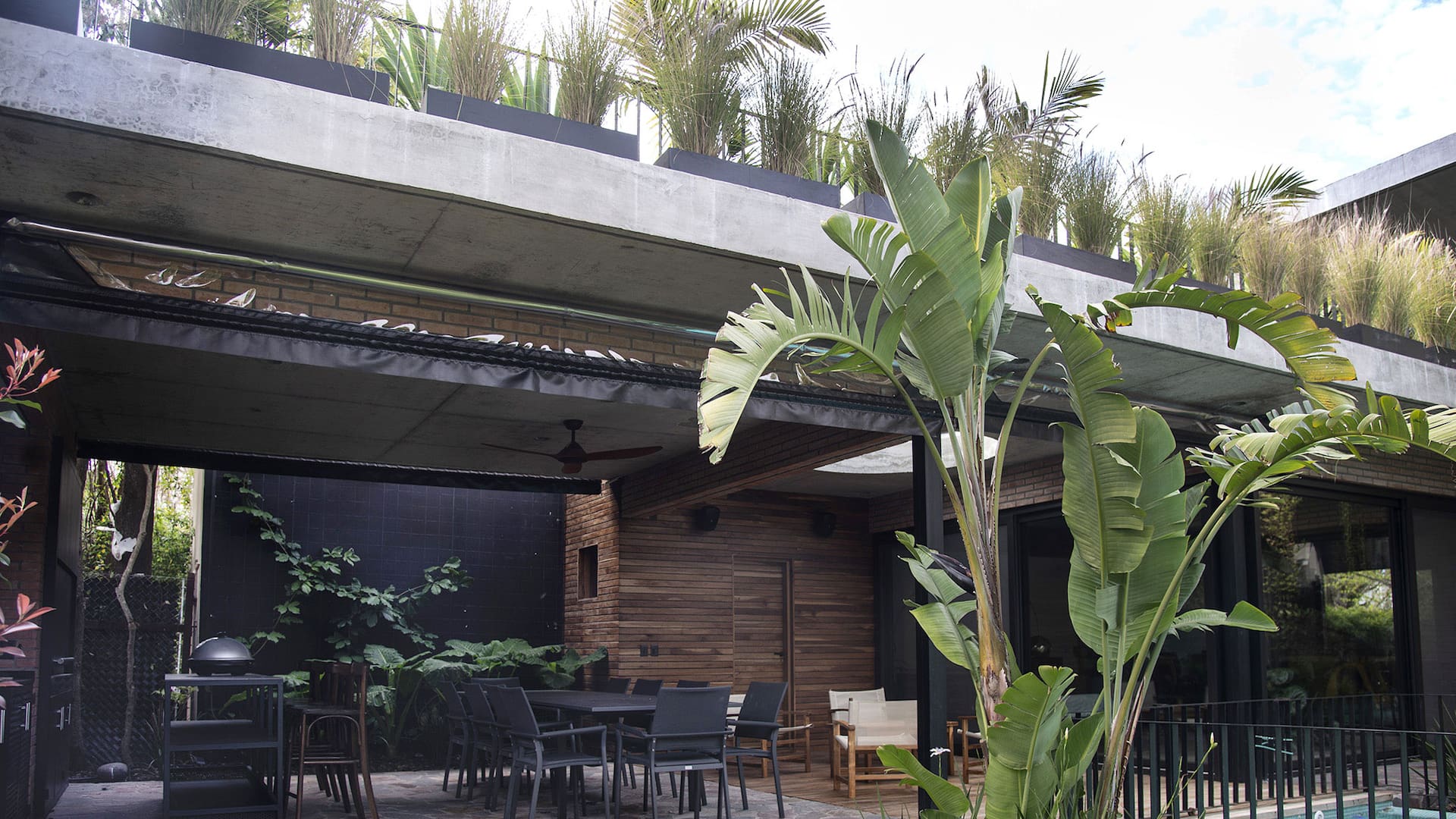 Diversos matices de verde y plantas de hojas grandes enfatizan el estilo tropical del jardín.