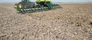 La fertilización balanceada, clave para altos rindes en un año con muchas lluvias