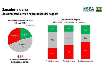 Las expectativas del negocio con respecto del año pasado en ganadería ovina
