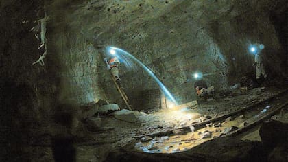 Las exploraciones en las profundidades de la Tierra revelaron mucha más vida de la que los científicos creían que podía existir