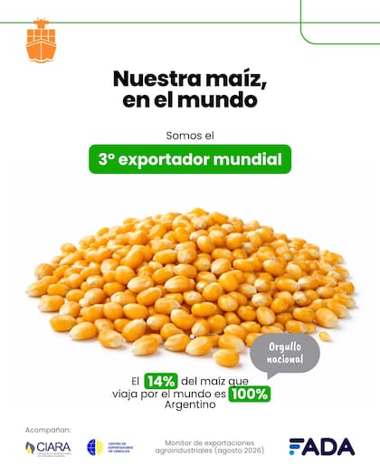 Las exportaciones argentinas de maíz alcanzaron US$4200 millones y llegaron a más de 70 países