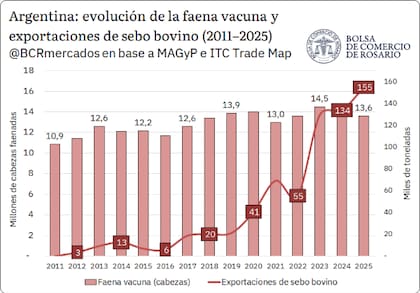 Las exportaciones argentinas de sebo bovino se multiplicaron por más de 20 en una década y alcanzaron las 154.808 toneladas en 2025
